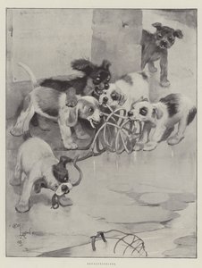 Rivoluzionari da Cecil Charles Windsor Aldin